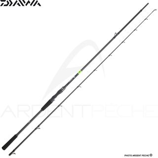Canna casting DAIWA Prorex E