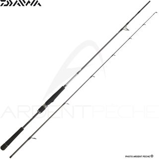 Canna spinning DAIWA Saltist seabass 24