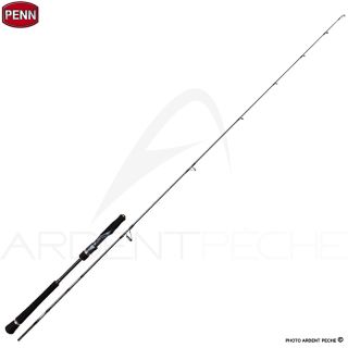 Canne spinning PENN Battalion solid light jigging