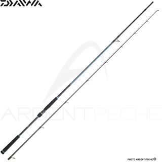Canna spinning DAIWA Caldia seabass