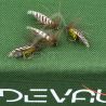 Mosca DEVAUX Sedge JBP 10