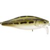 Pesce nuotatore MEGABASS I Jack