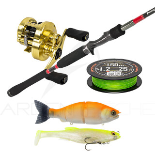 Combo premium da viaggio luccio con Soft baits & artificiali duri - Ardent Tecniche di pesca