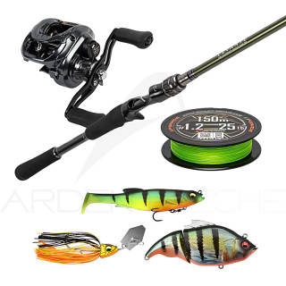 Combo premium tecniche di pesca lucci e black bass con artificiali - Ardent Pêche