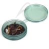 Scatola mosche FISHPOND Shallow MagPad Fly Puck