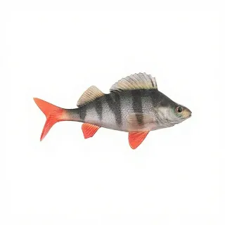 Esca morbida FOX RAGE Replicant perch