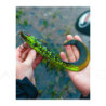 Soft bait NAYS GHST 80