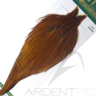 Collo di gallo Whiting HEBERT Pro Grade Rossiccio 