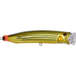 Pesciolino TACKLE HOUSE Feed popper 150