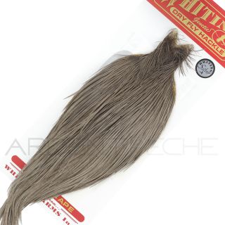 Colli di gallo Whiting Silver grigio scuro