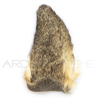 Orecchio di capriolo naturale
