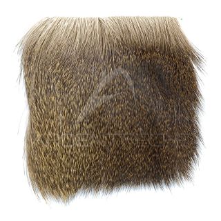 Chevreuil sur peau Polish Quill