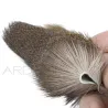 Chevreuil sur peau Polish Quill