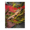 Soft bait FOX RAGE Replicant pike