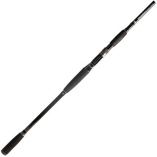 Canna casting BFT 92 Big fish classic 8'6