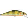 Poisson nageur SMITH D Contact 50