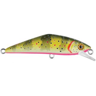 Pesce nuotatore SMITH D Contact 63