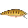 Pesce nuotatore SMITH D Incite 53