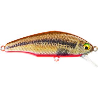 Pesce nuotatore SMITH D Incite 53