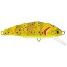 Pesce nuotatore SMITH D Incite 64