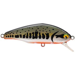 Pesce nuotatore SMITH D Incite 64