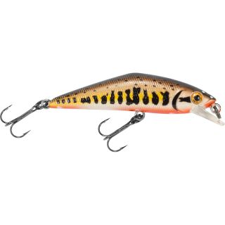 Pesce nuotatore SMITH D Contact 63 FES