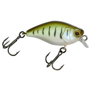 Poisson nageur ILLEX Micro chubby 30