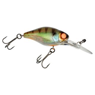 Poisson nageur ILLEX Diving chubby 38