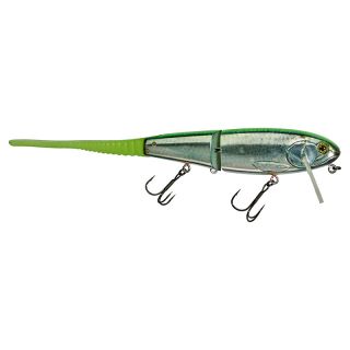 Pesce nuotatore ILLEX Flat bone clicker