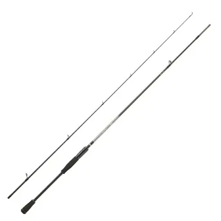 Spinning rod DAIWA Exceler 2025