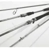 Spinning rod DAIWA Exceler 2025