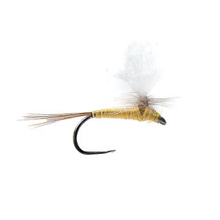 Mosca DEVAUX PARACHUTE P 19