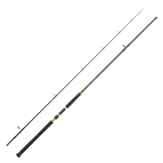 Canna spinning DAIWA Legalis shore jigging 2025