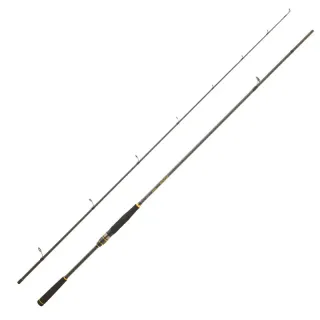 Canna spinning DAIWA Legalis Seabass SW 2025