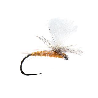 Mosca DEVAUX PARACHUTE P 21
