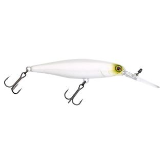 Poisson nageur ILLEX DD Squirrel 67 SP