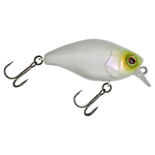 Poisson nageur ILLEX Magum chubby 50