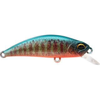 Pesciolino DUO Spearhead ryuki 38 S