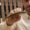 LUNKER CITY Fin-S Fish 7 Soft Lure