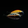 Pesce nageur ITO CRAFT Emishi 50 S