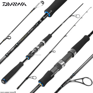 Rod DAIWA Saltist AGS
