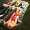 Scatola MEIHO VS 3043 ND Black