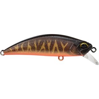 Pesciolino DUO Spearhead ryuki 50 S