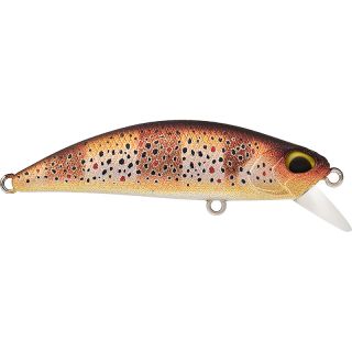 Pesciolino DUO Spearhead ryuki 60 S