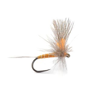 Mosca DEVAUX Emergente JBE 81 (per 3)