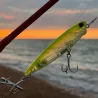 Pesce nuotatore DUO Realis pencil 110 SW