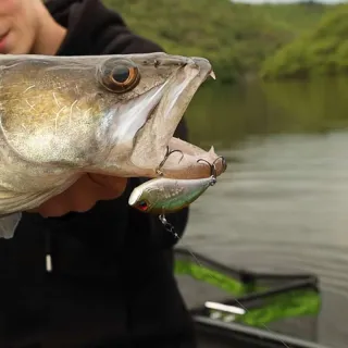 DUO Realis Apex Vibe 100 hard lure