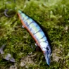 Pesce nuotatore DUO Realis Jerkbait 120 SP Pike LTD