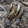 Pesce nuotatore DUO Realis rozante 77 SP
