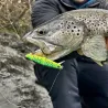 Pesciolino DUO Spearhead ryuki quattro 90 S